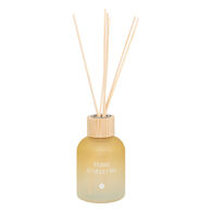 Ambientador mikado  terre d'ailleurs SANA 150ml
