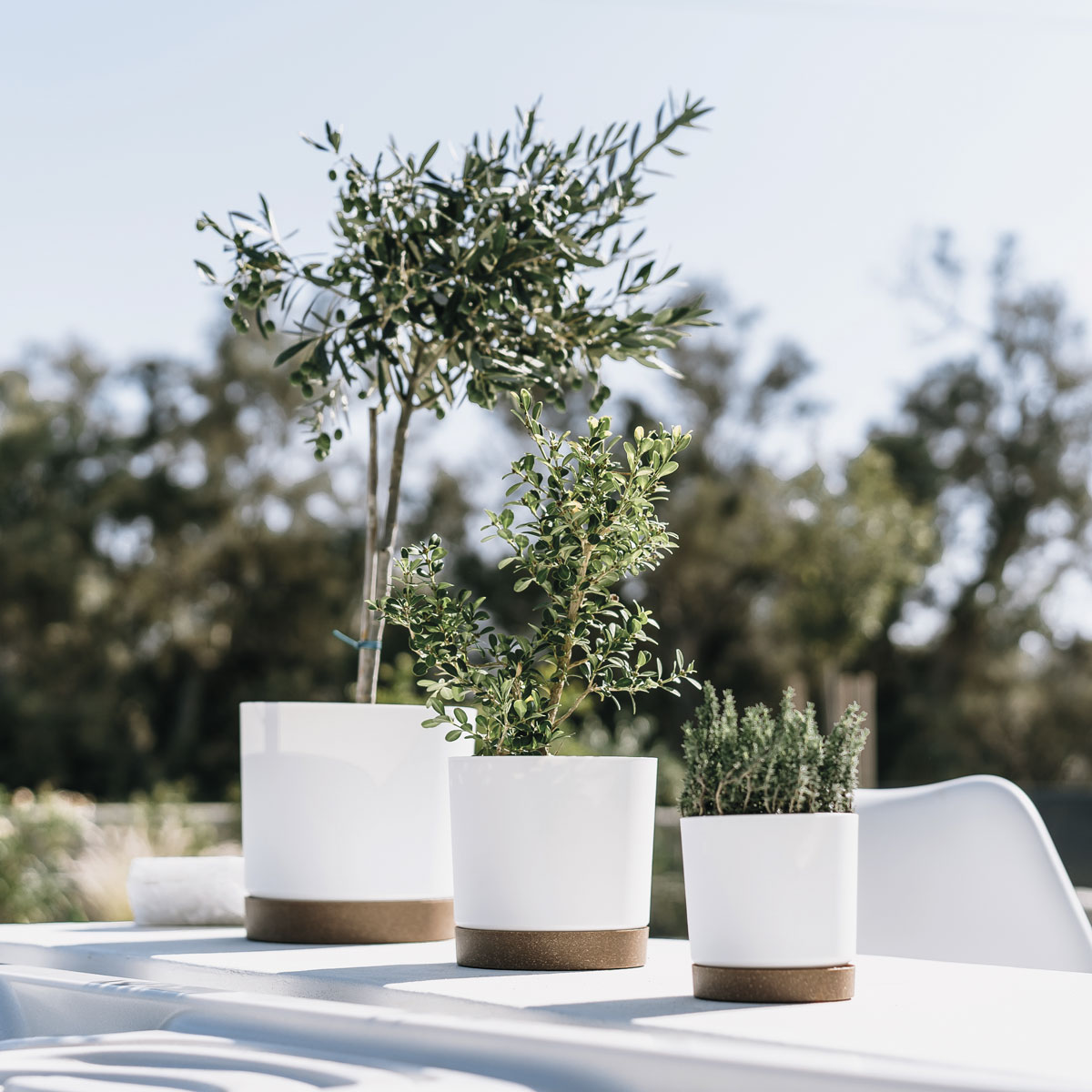 Vaso TUBO PM branco 15cm