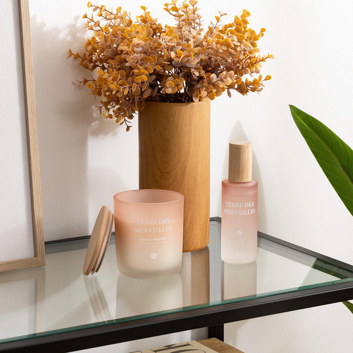 Vela perfumada terre des merveilles SANA 255g