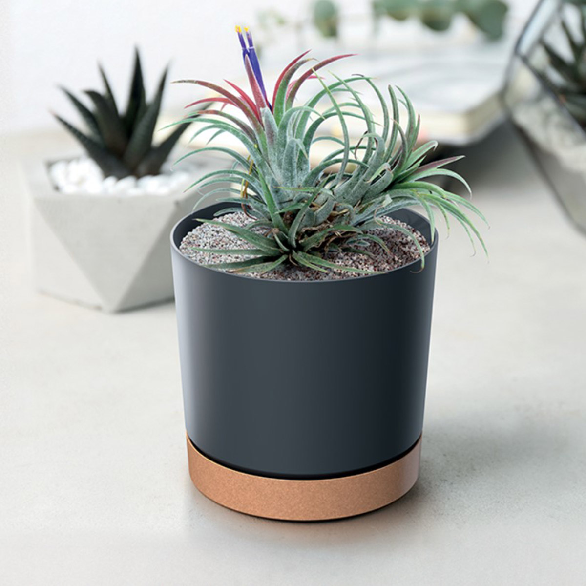 Vaso TUBO PM cinza antracite 15cm