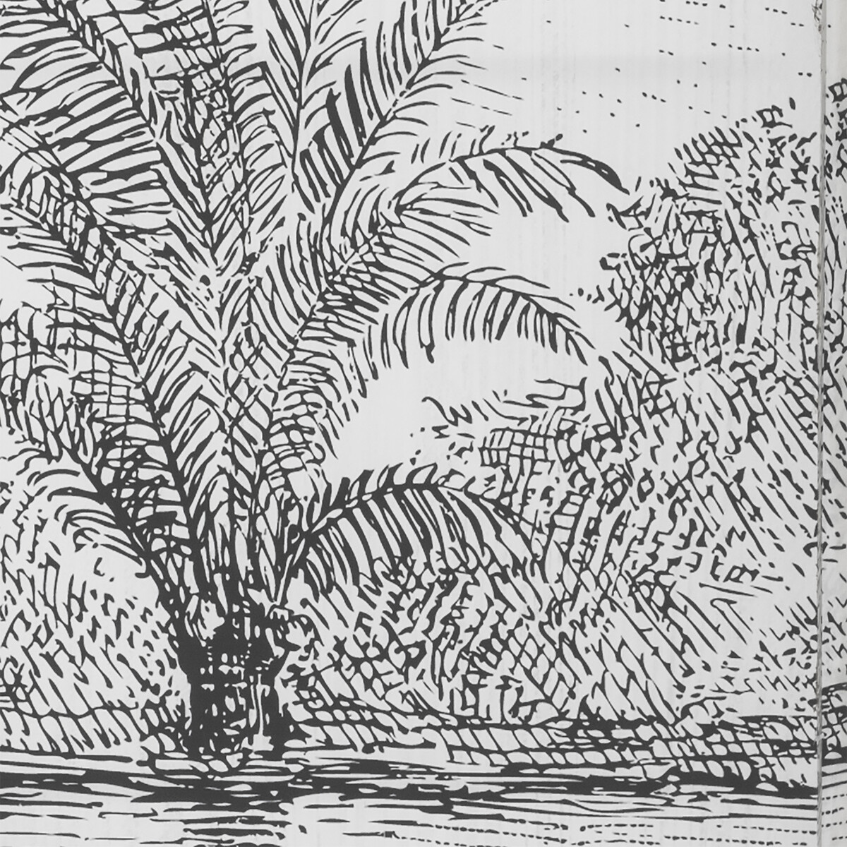 Biombo decorativo preto e branco paisagem CUBA